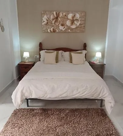 Beachfront With Sea View & Balcony Pmt16 公寓 托雷维耶哈